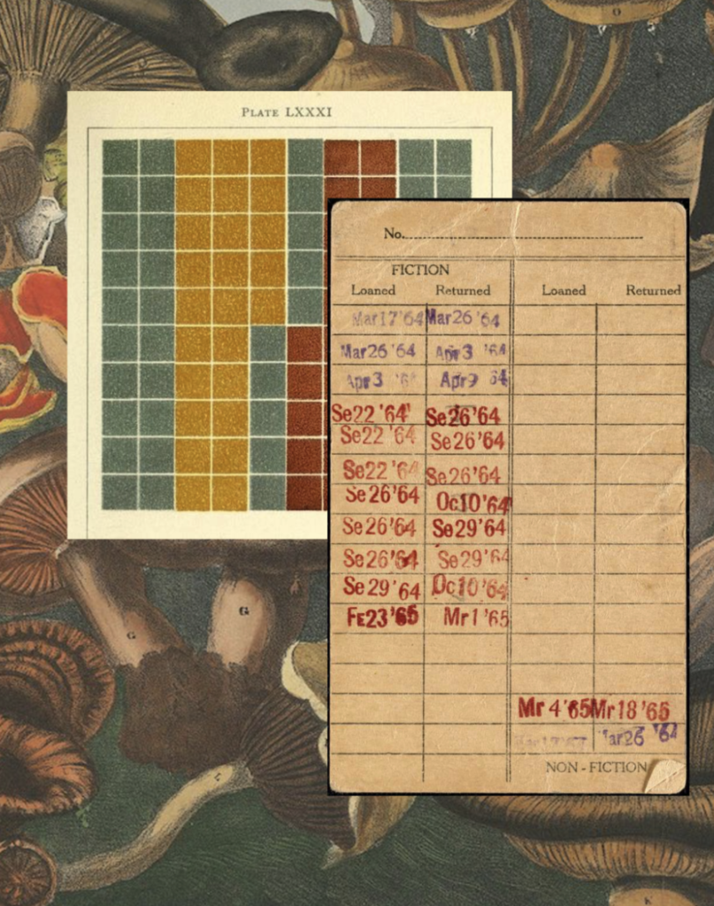 A floral patterned substrate; layered atop are a grid of color and an archival library card